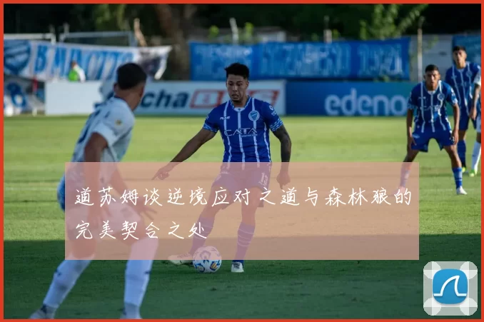 道苏姆谈逆境应对之道与森林狼的完美契合之处